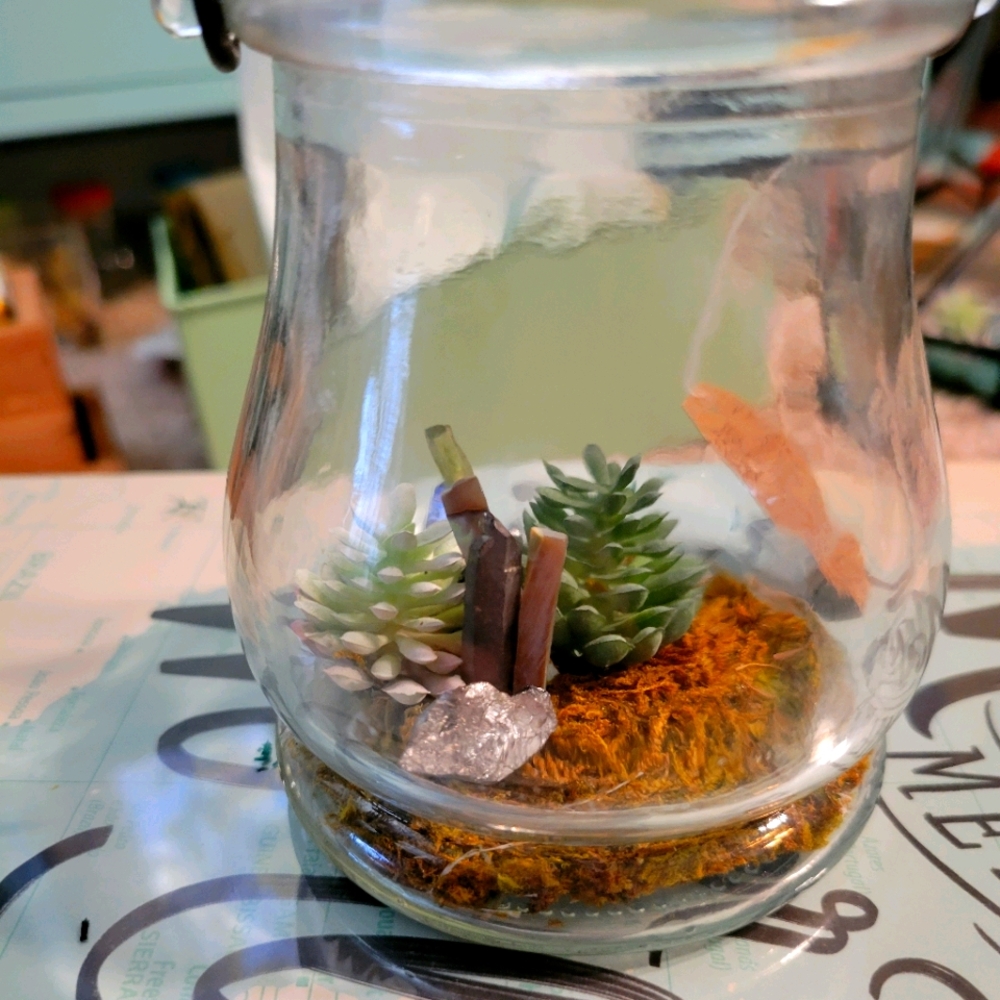 Power pack mini terrarium